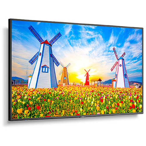 NEC MultiSync M651 65" Class HDR 4K UHD Commercial IPS LED Display - NEC
