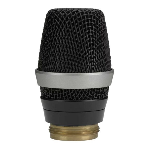 AKG D5 WL1 Professional Dynamic Microphone Head - AKG