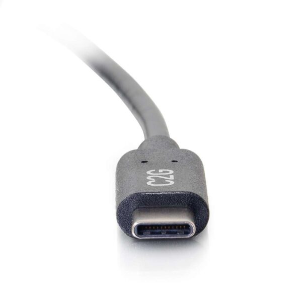C2G 28826 6ft USB C MALE TO C MALE 2.0 3A - C2G